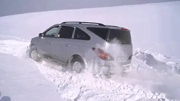 Ssangyong Rodius