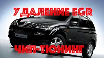 Чип-тюнинг и удаление EGR  SsangYong Kyron 2.0d
