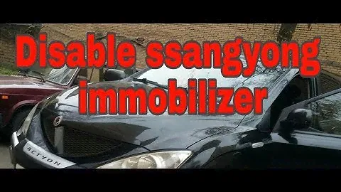 Disable ssangyong immobilizer (ssang yong immo off)