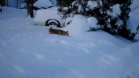 Sunday Morning Snow Day